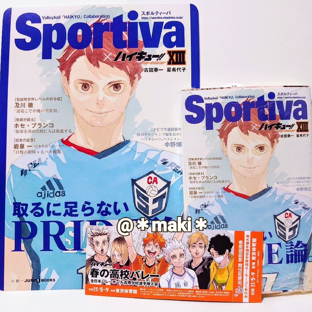ハイキュー!! ショーセツバンⅩⅢ アニメイト特典ビジュアル