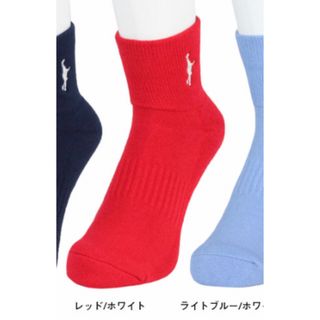 インザペイント 赤 ソックス バスケ