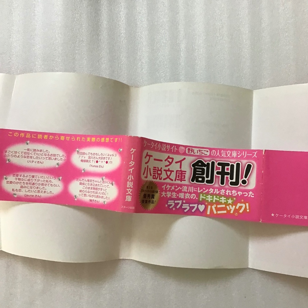 ケータイ小説　 水沢莉　レンタルな関係。　①②巻セット   エンタメ/ホビーの本(文学/小説)の商品写真