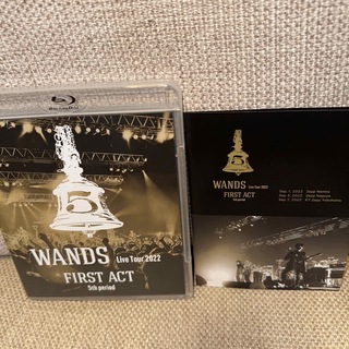 WANDS ／ Live Tour 2022 Blu-ray(ミュージック)