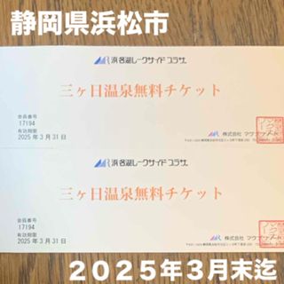 日帰り温泉　浜名湖レークサイドプラザ　2人　三ヶ日温泉　無料チケット　(その他)