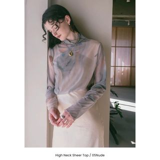 マルテ(Marte)のMARTE sahara High Neck Sheer Top 05Nude(カットソー(長袖/七分))