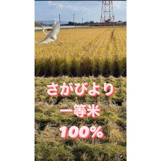 ⭐️新米 令和5年産1等米⭐️佐賀県産さがびより20k(5k×4袋)(米/穀物)