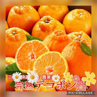 ☆限定破格☆佐賀県産デコポン不知火１０〜１２玉入箱☆ミカン蜜柑☆シラヌイ(フルーツ)