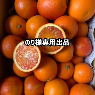 のり様専用出品(フルーツ)