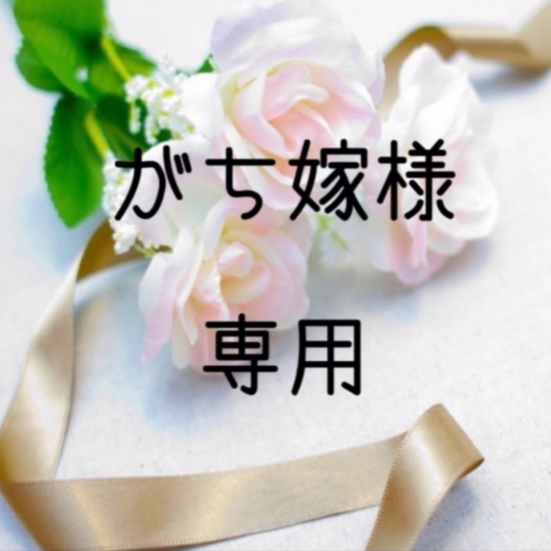 がち嫁　お米　令和5年　愛媛県産コシヒカリ　白米　20㎏