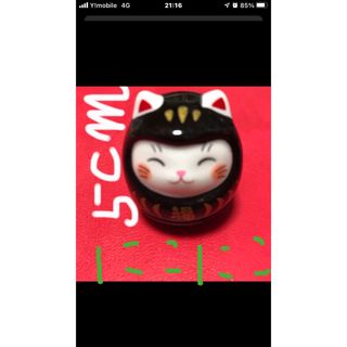 セトラー(SETTLER)のダルマ招き猫新品(置物)