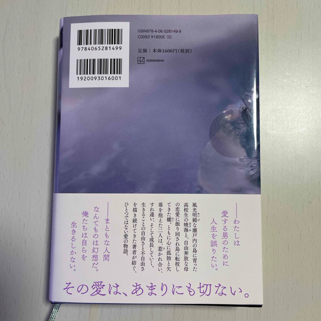 汝、星のごとく エンタメ/ホビーの本(その他)の商品写真