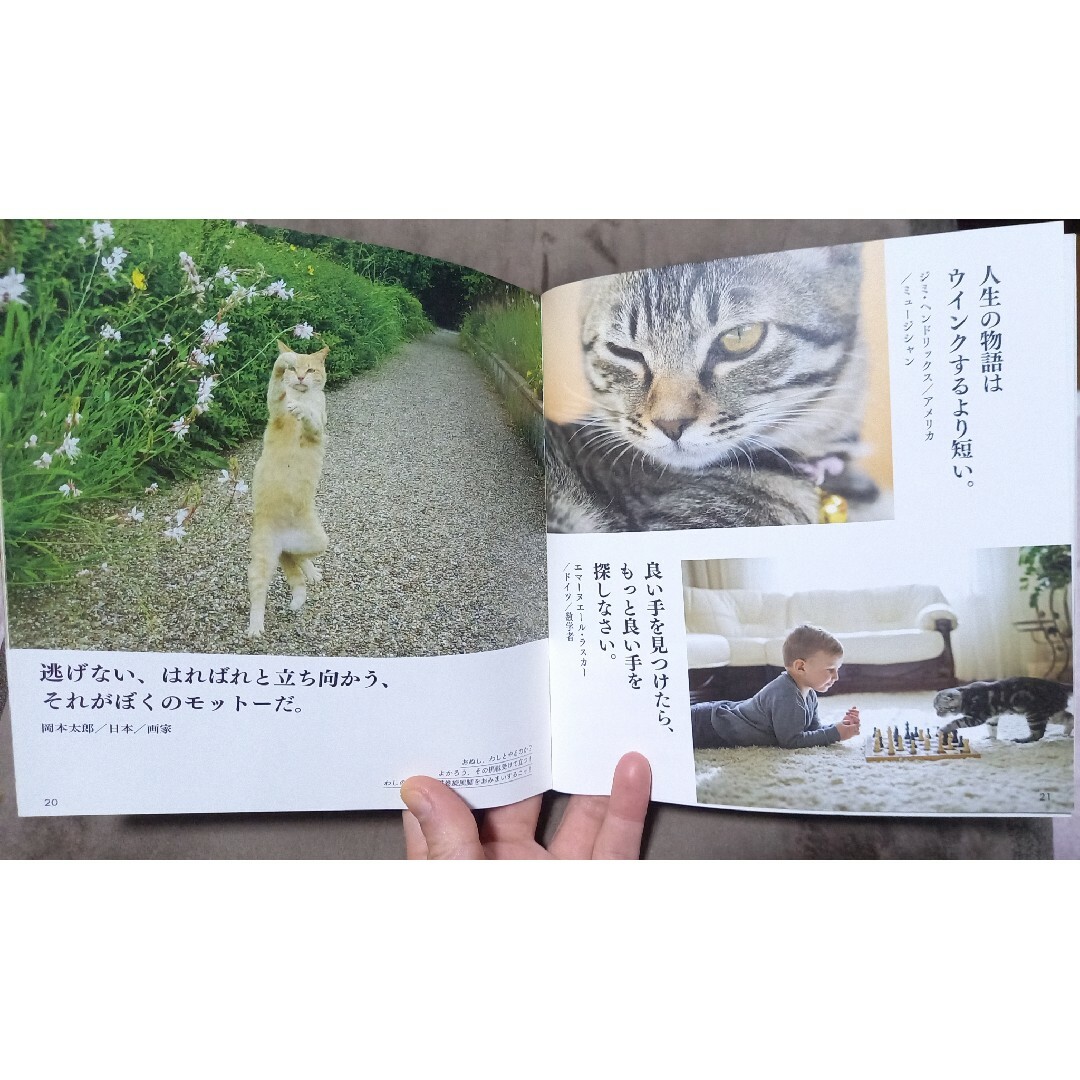 【名言】猫と犬と羊たちの沈黙【小説】 エンタメ/ホビーの本(文学/小説)の商品写真