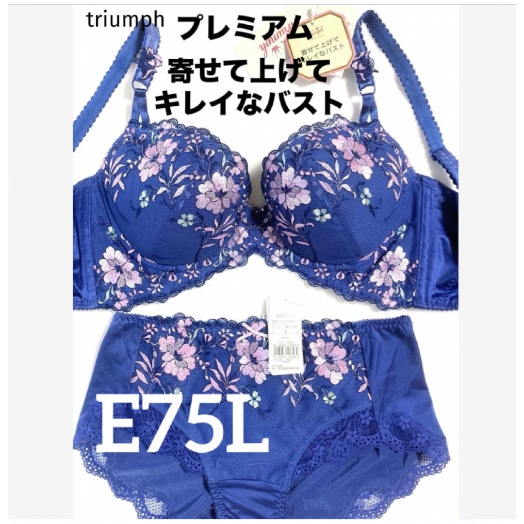 Triumph(トリンプ)の【新品タグ付】triumph／プレミアム・E75L（定価¥11,880） レディースの下着/アンダーウェア(ブラ&ショーツセット)の商品写真