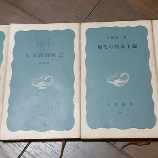 現代の資本主義　と　日本経済図説(ノンフィクション/教養)