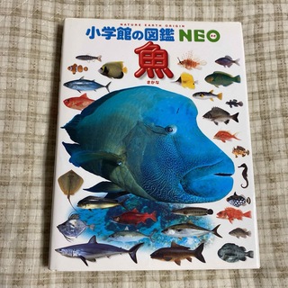 魚　　小学館の図鑑　　neo (絵本/児童書)