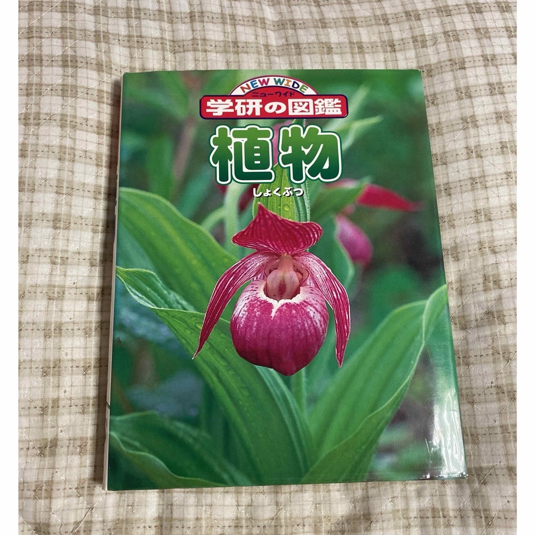 植物　　学研の図鑑　ニューワイド エンタメ/ホビーの本(絵本/児童書)の商品写真