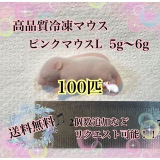 冷凍マウス♡ピンクマウスL♡100匹！！(ペットフード)