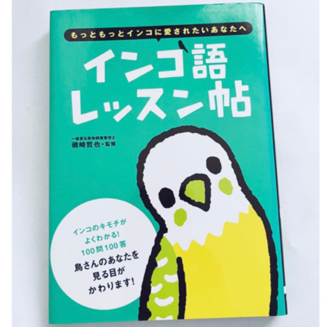 インコ　本　　鳥本 エンタメ/ホビーの本(住まい/暮らし/子育て)の商品写真