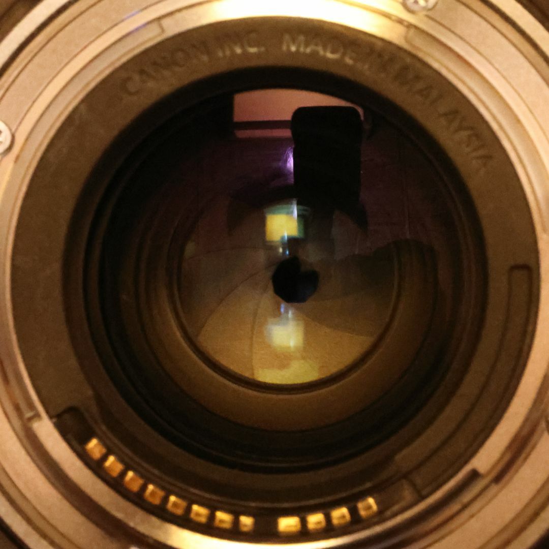 Canon(キヤノン)の【ボケを生かした撮影にお薦め】キヤノン RF85mm F2 マクロ IS STM スマホ/家電/カメラのカメラ(レンズ(単焦点))の商品写真