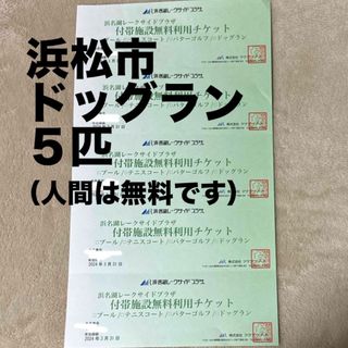 ドッグラン　無料券　5枚（５匹）　静岡　浜松　浜名湖レークサイドプラザ　日帰り　(趣味/スポーツ)