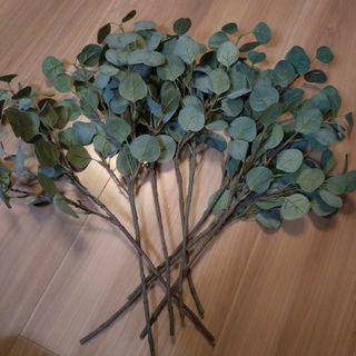 イケア(IKEA)のIkea ユーカリ スミッカ 造花(その他)