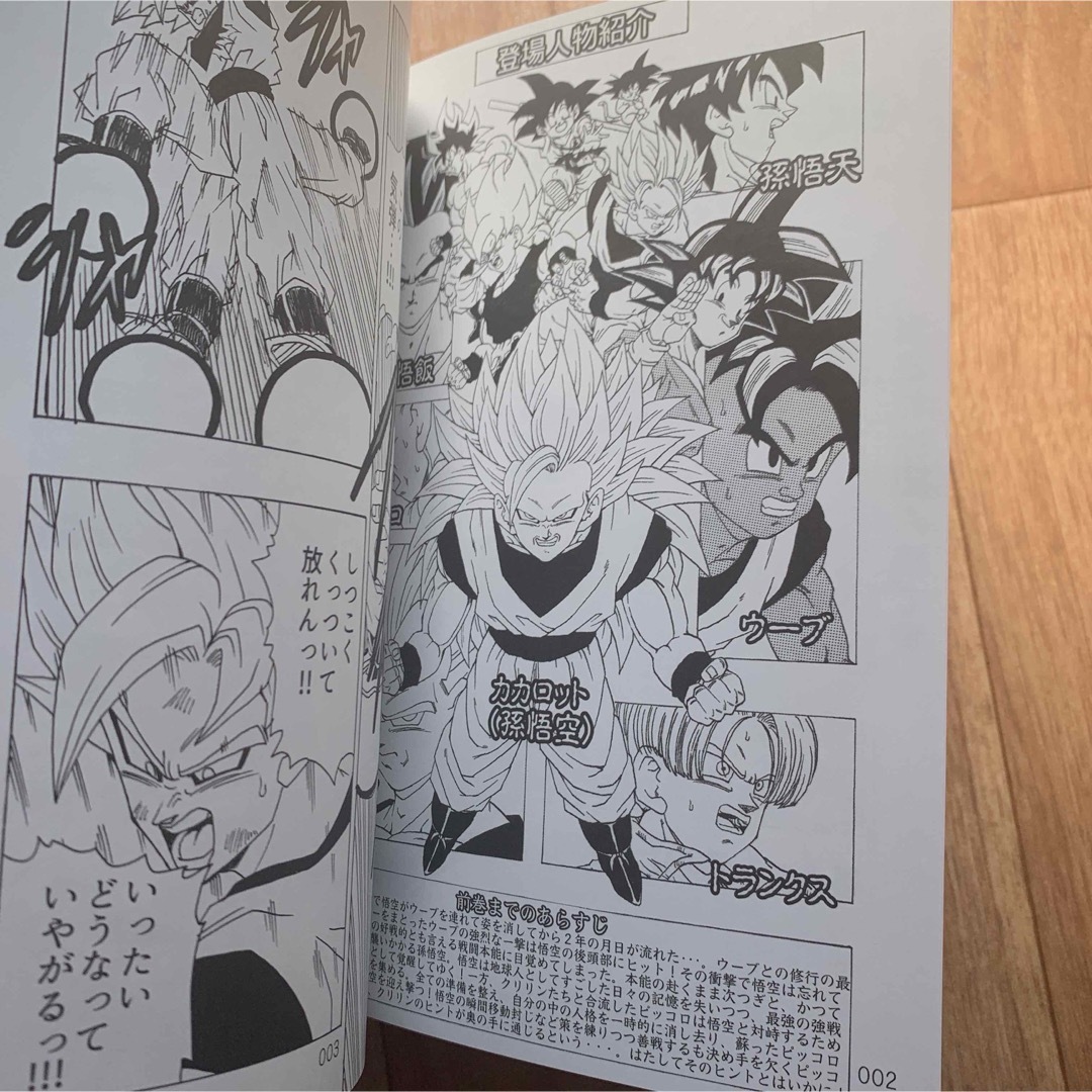 その後のDB真 12巻 ドラゴンボールAF ヤングなおゆき 同人誌 コミケ
