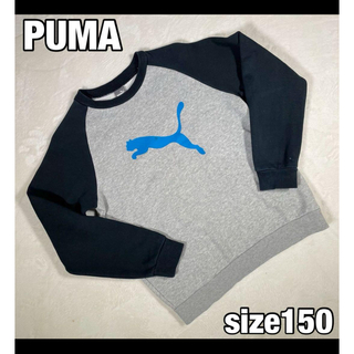 プーマ(PUMA)の【PUMA】ビッグロゴプリント ラグランスリーブトレーナー 150サイズ(Tシャツ/カットソー)