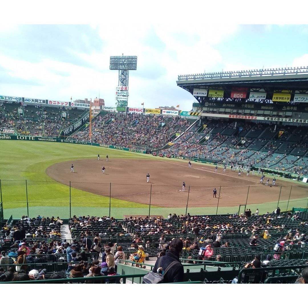 阪神タイガース(ハンシンタイガース)の甲子園三塁ブリーズシート2連番セット チケットのスポーツ(野球)の商品写真