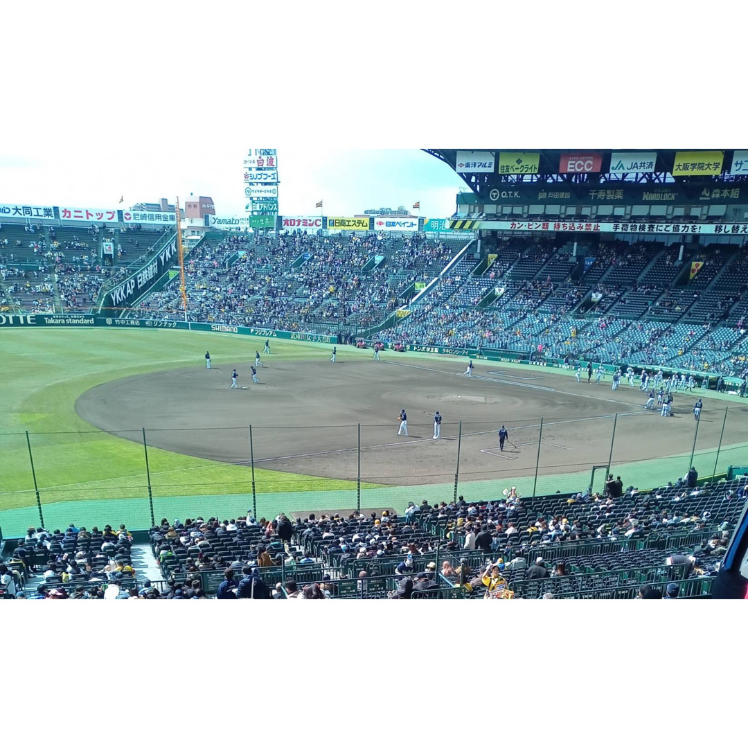 阪神タイガース(ハンシンタイガース)の甲子園三塁ブリーズシート2連番セット チケットのスポーツ(野球)の商品写真