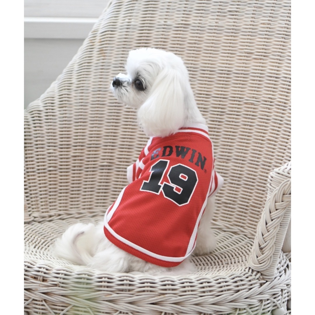 EDWIN(エドウィン)の【新品】EDWIN/バスケ　赤　犬　服　ペットウェアS 2.2Kg〜2.8Kg その他のペット用品(犬)の商品写真