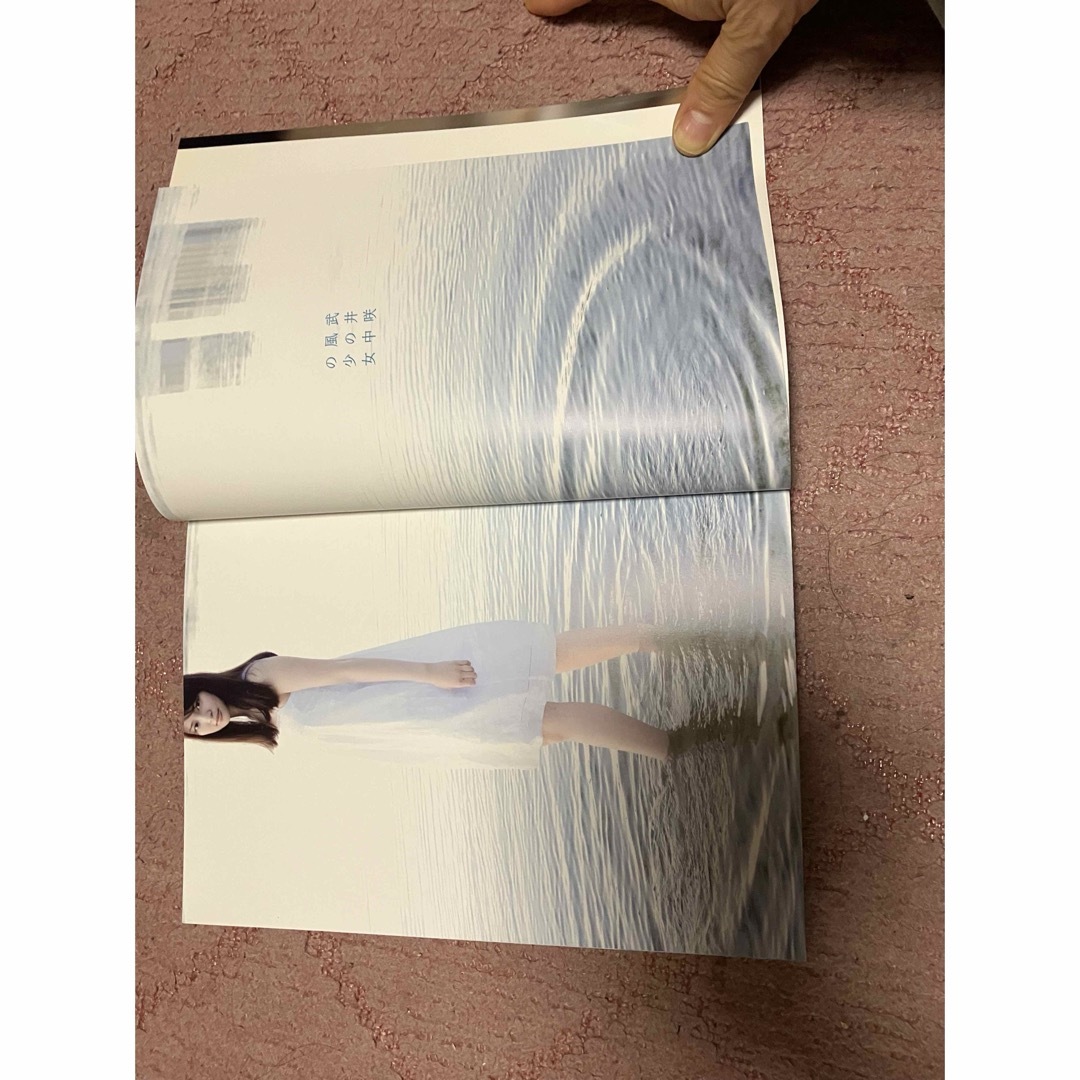 ワニブックス(ワニブックス)の武井咲写真集　風の中の少女(帯無し、DVD無し)です。 エンタメ/ホビーの本(その他)の商品写真