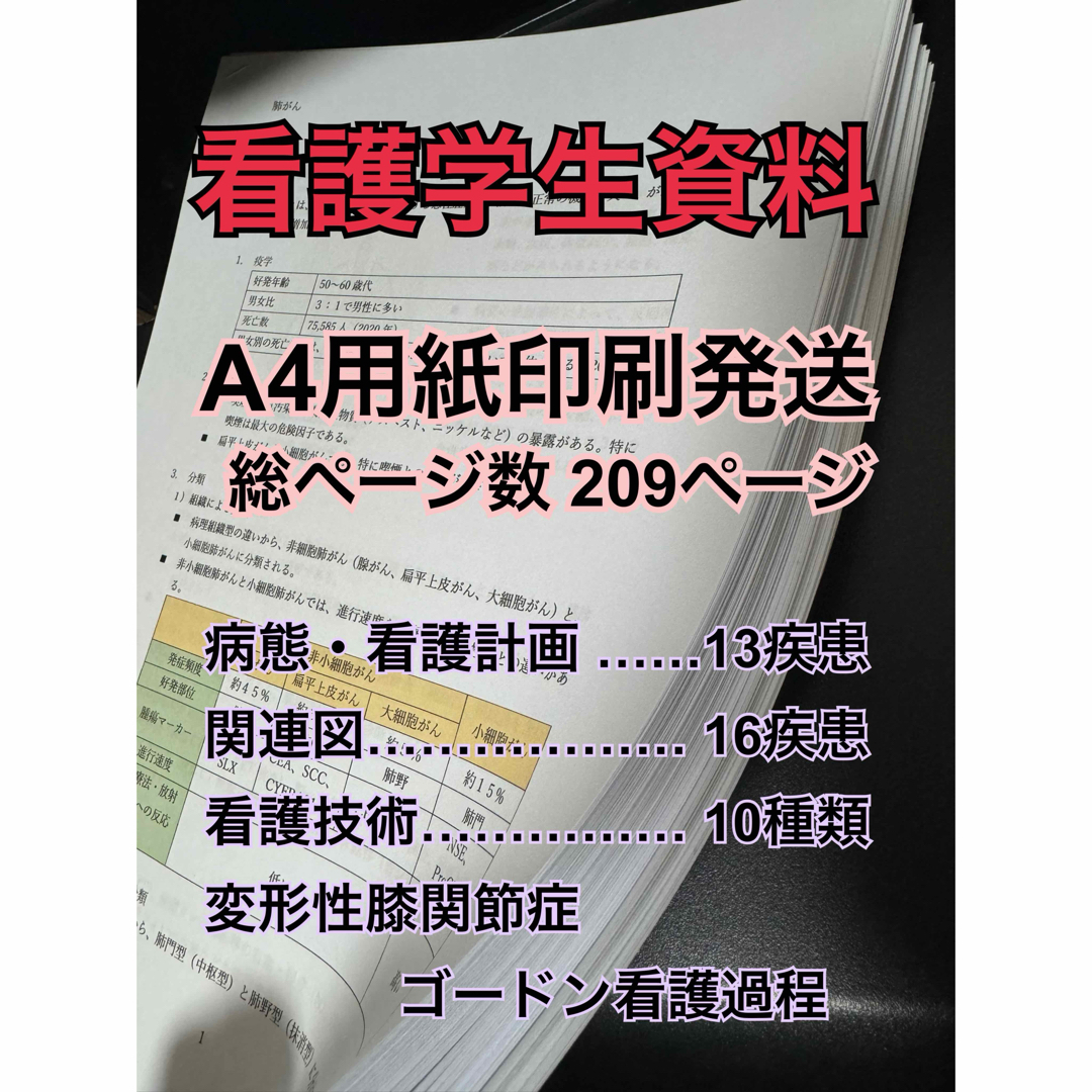 看護学生 看護実習 看護計画 アセスメント 関連図 ゴードン 印刷 看護学生 看護実習 看護計画 アセスメント 関連図 ゴードン 印刷