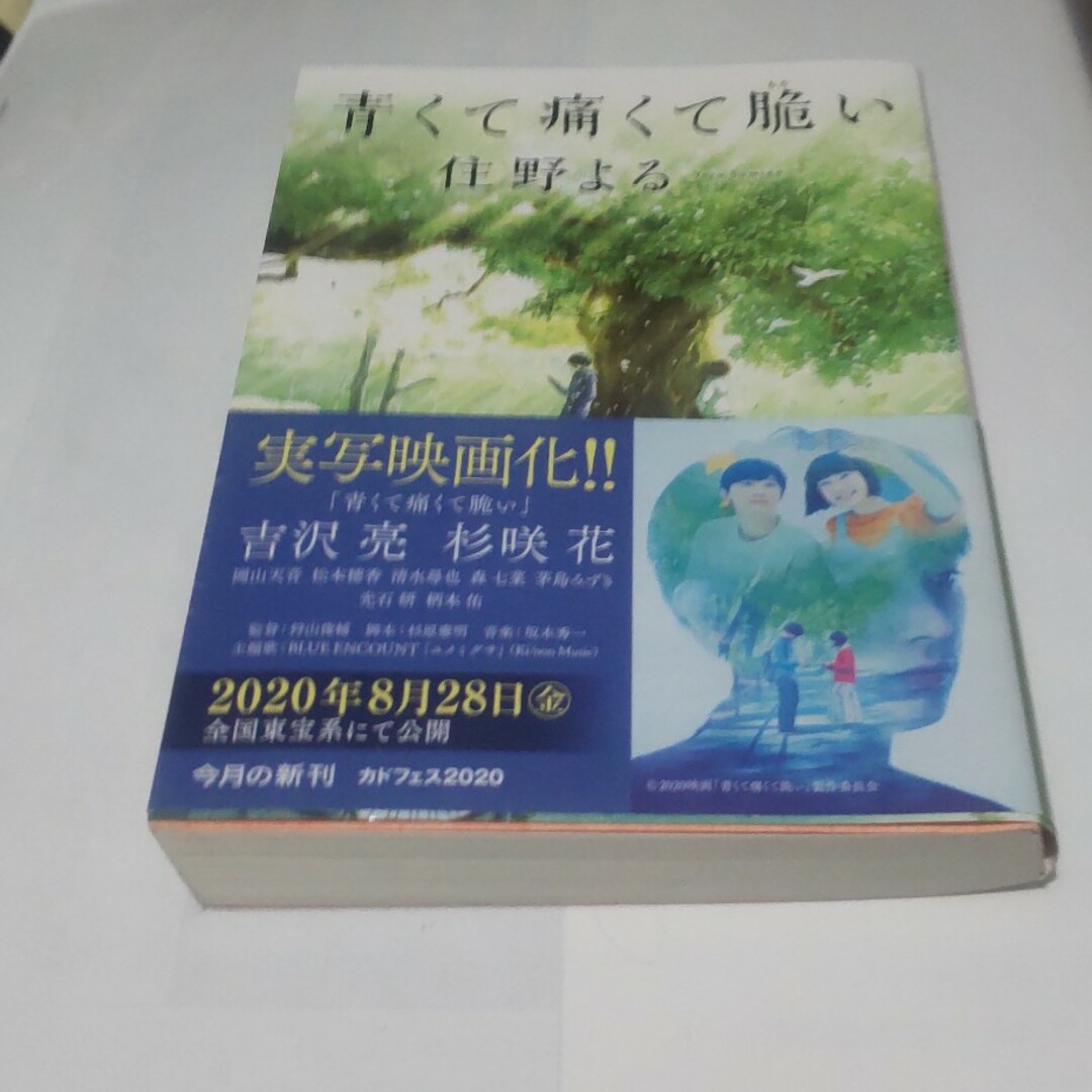 角川書店(カドカワショテン)の青くて痛くて脆い エンタメ/ホビーの本(その他)の商品写真