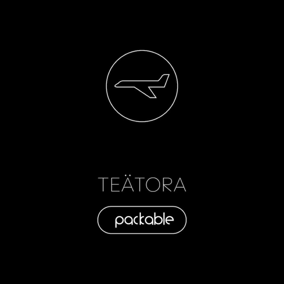 TEATORA(テアトラ)のTEATORA テアトラ / DEVICE COAT PACKABLE メンズのジャケット/アウター(ステンカラーコート)の商品写真