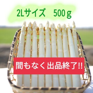 2Lサイズ ホワイトアスパラガス500g(野菜)
