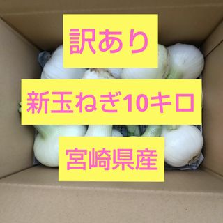 【訳あり】新玉ねぎ  10㎏(野菜)