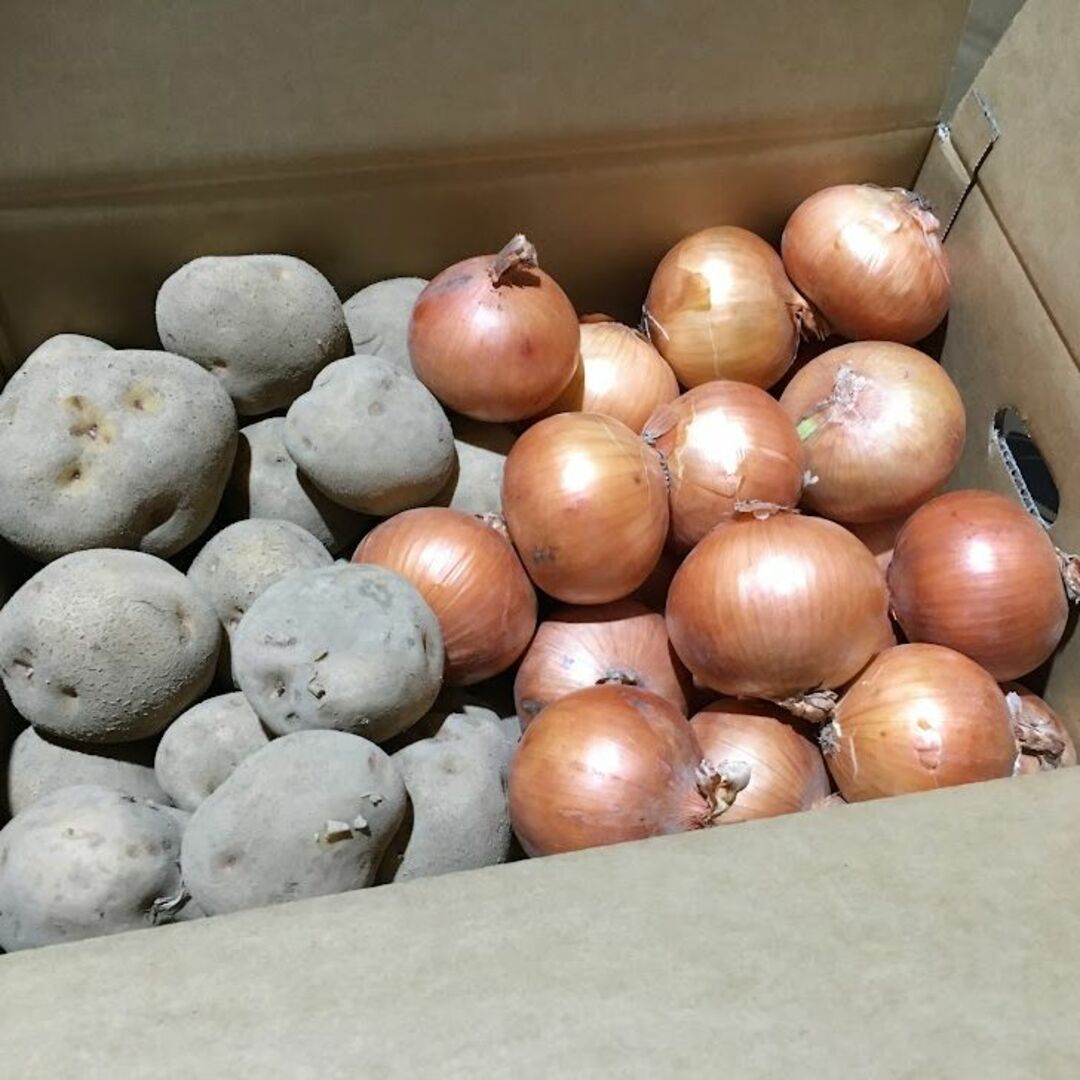 北海道産　ジャガイモとタマネギのセット　10kg　農家直送 食品/飲料/酒の食品(野菜)の商品写真