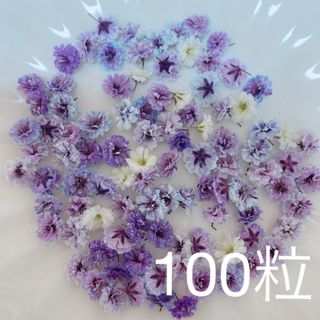 パープル系 かすみ草ドライフラワー100粒(ドライフラワー)