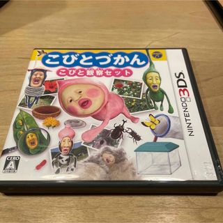 ニンテンドー3DS - トモダチコレクション新生活＋とびだせどうぶつの森