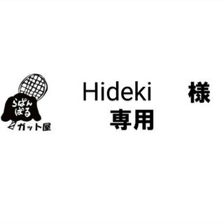 テクニファイバー(Tecnifibre)の【Hideki様専用】2張りセット(その他)