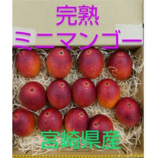 ミニマンゴー 850g〜900g前後 【 常温発送 】完熟 マンゴー 宮崎県産(フルーツ)