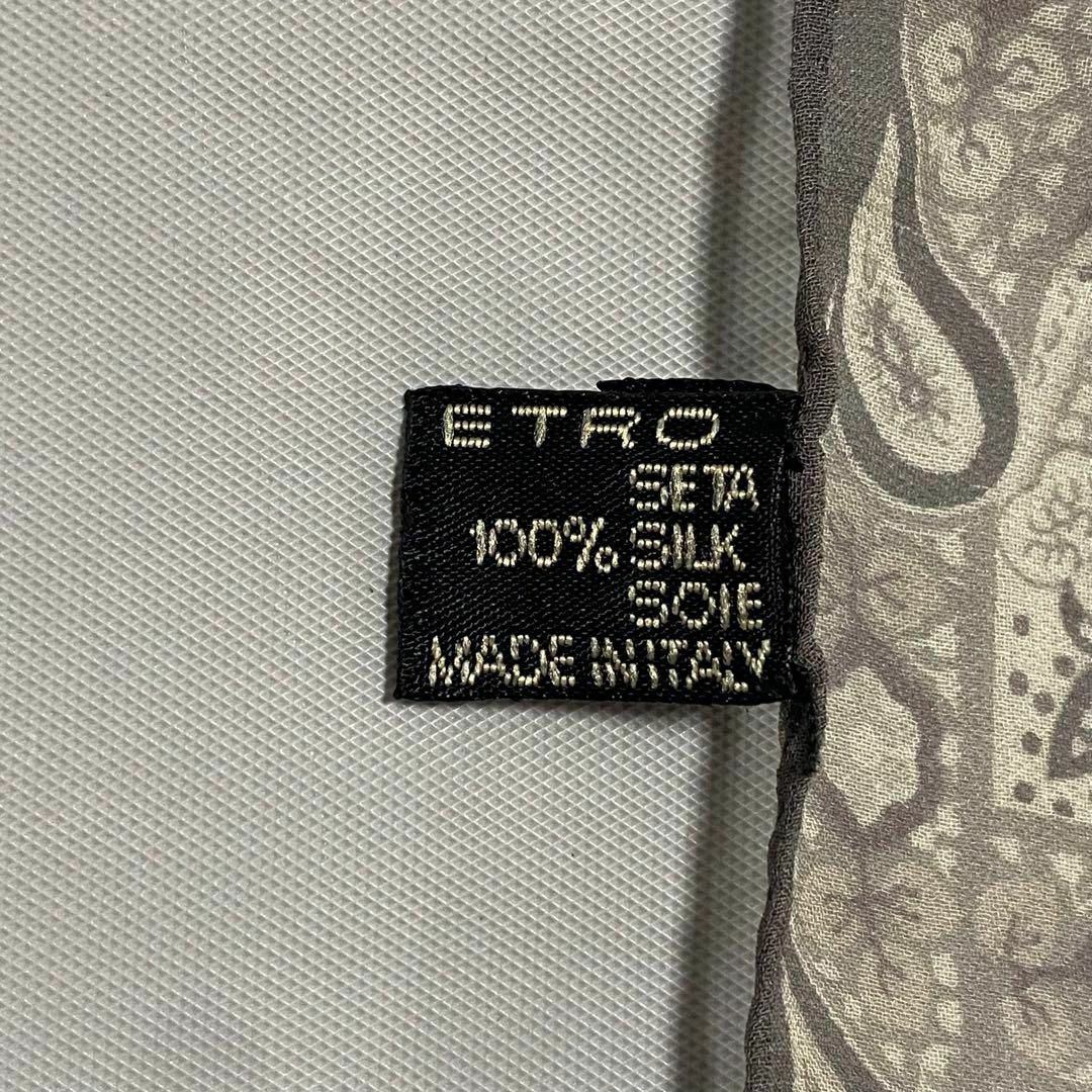 ETRO(エトロ)の★ETRO★ ロングスカーフ ペイズリー シフォン シルク グレー レディースのファッション小物(バンダナ/スカーフ)の商品写真