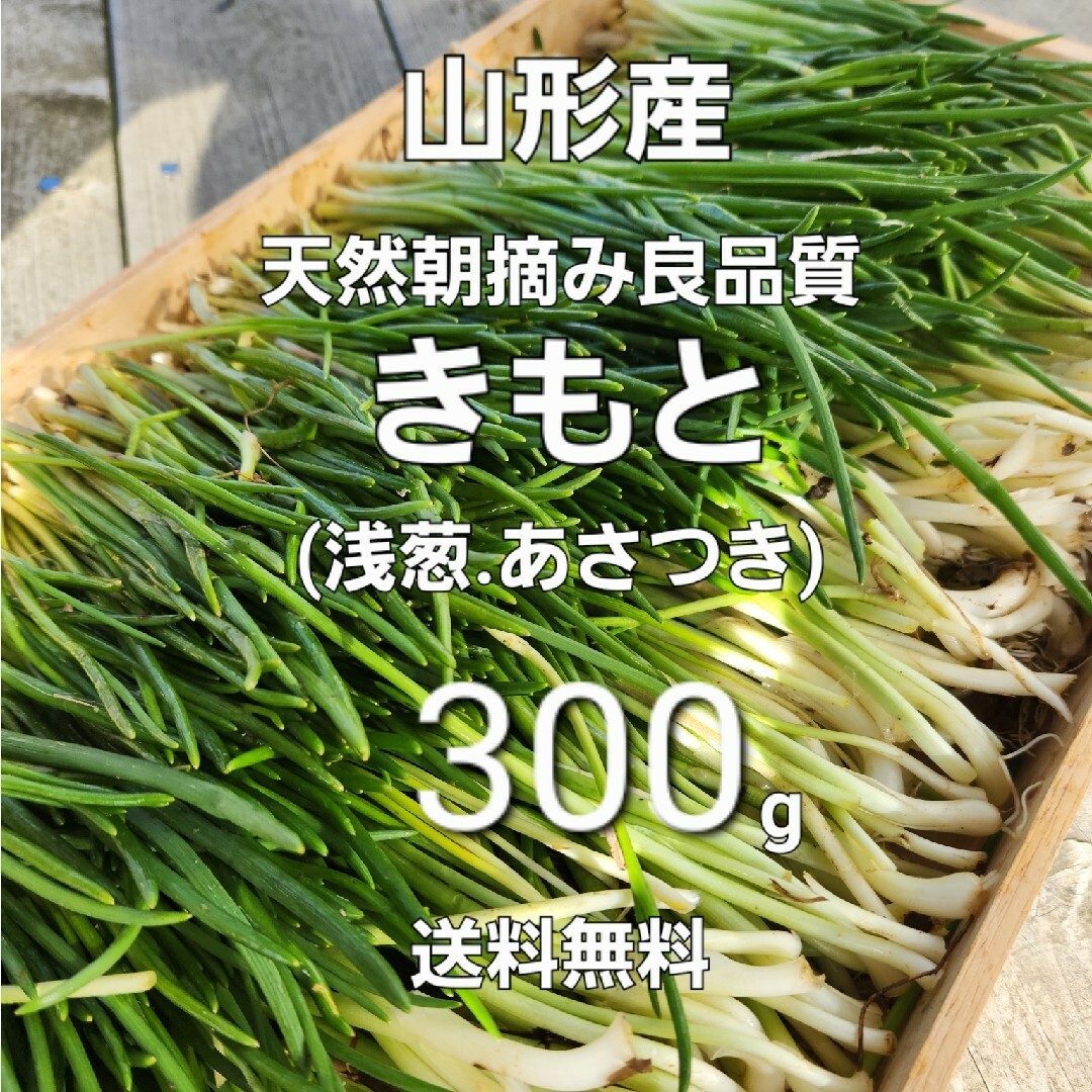 山形鳥海山産　朝摘きもと約300g(あさつき)春野菜　朝月　浅葱　アサツキ　山菜 食品/飲料/酒の食品(野菜)の商品写真