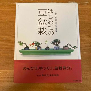 はじめての豆盆栽(趣味/スポーツ/実用)