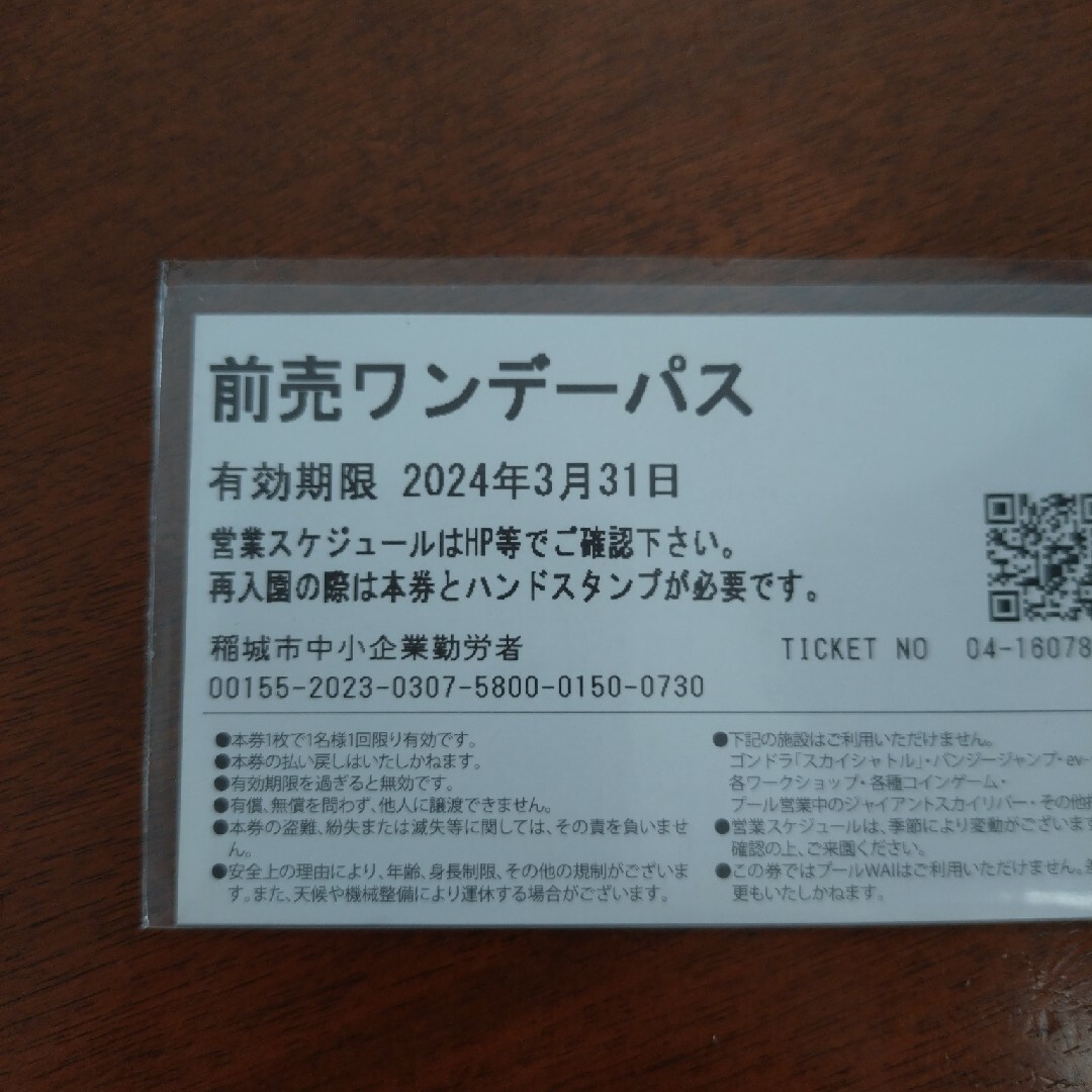 よみうりランドワンデーパス大人 チケットの施設利用券(遊園地/テーマパーク)の商品写真