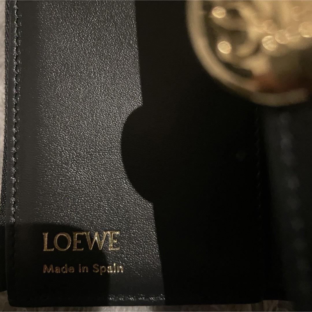 LOEWE(ロエベ)のLOEWE ロエベ 財布　【美品】 【正規品】 メンズのファッション小物(折り財布)の商品写真