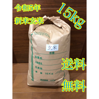 令和5年度産 新米 玄米ヒノヒカリ15kg(米/穀物)