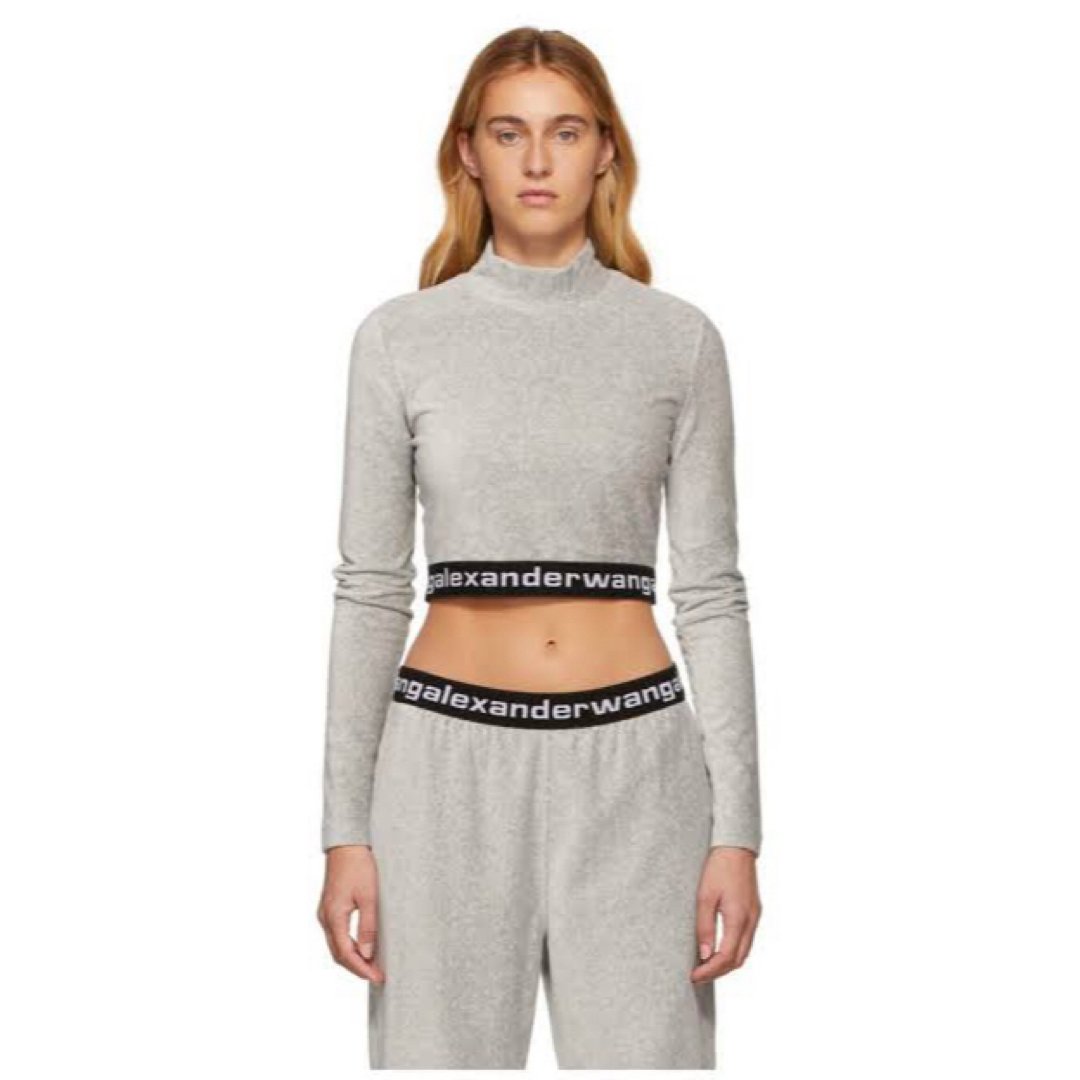 Alexander Wang(アレキサンダーワン)のALEXANDER WANG Long-Sleeve Crop Top Glay レディースのトップス(ニット/セーター)の商品写真