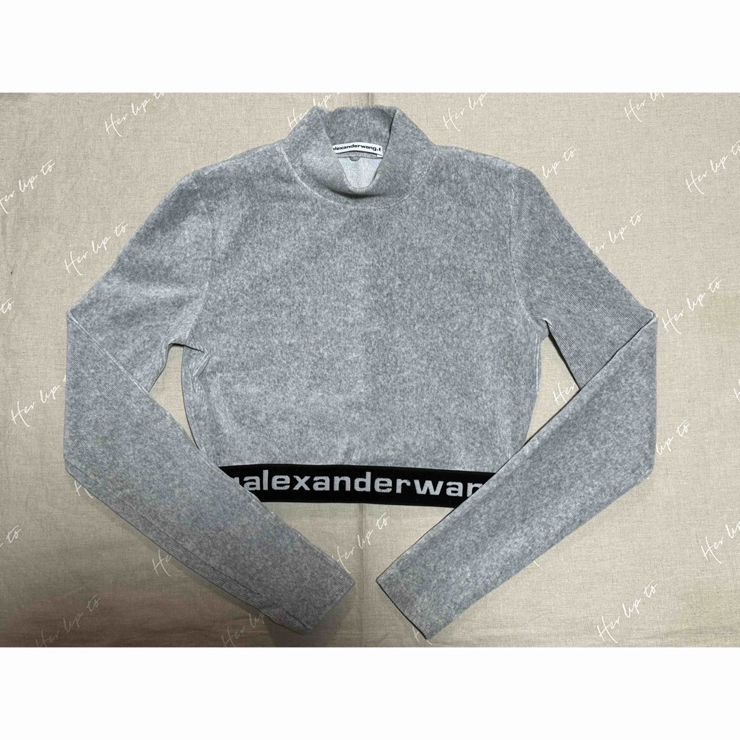 Alexander Wang(アレキサンダーワン)のALEXANDER WANG Long-Sleeve Crop Top Glay レディースのトップス(ニット/セーター)の商品写真