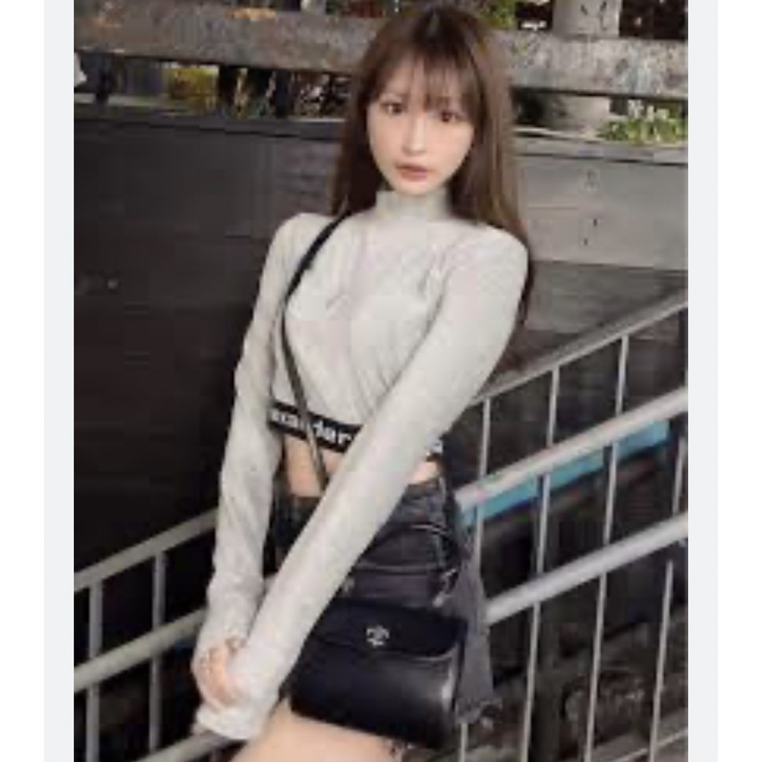 Alexander Wang(アレキサンダーワン)のALEXANDER WANG Long-Sleeve Crop Top Glay レディースのトップス(ニット/セーター)の商品写真