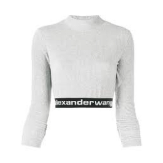 アレキサンダーワン(Alexander Wang)のALEXANDER WANG Long-Sleeve Crop Top Glay(ニット/セーター)