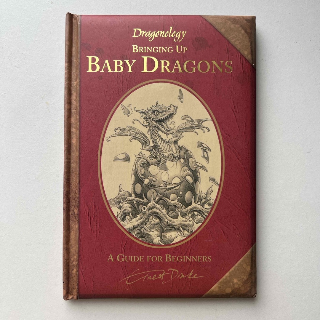 BRINGING UP BABY DRAGONS 英語版 エンタメ/ホビーの本(洋書)の商品写真