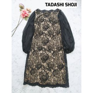 タダシショウジ(TADASHI SHOJI)のタダシショージ 総レース 長袖 シフォン ワンピースドレス サイズ4(ひざ丈ワンピース)